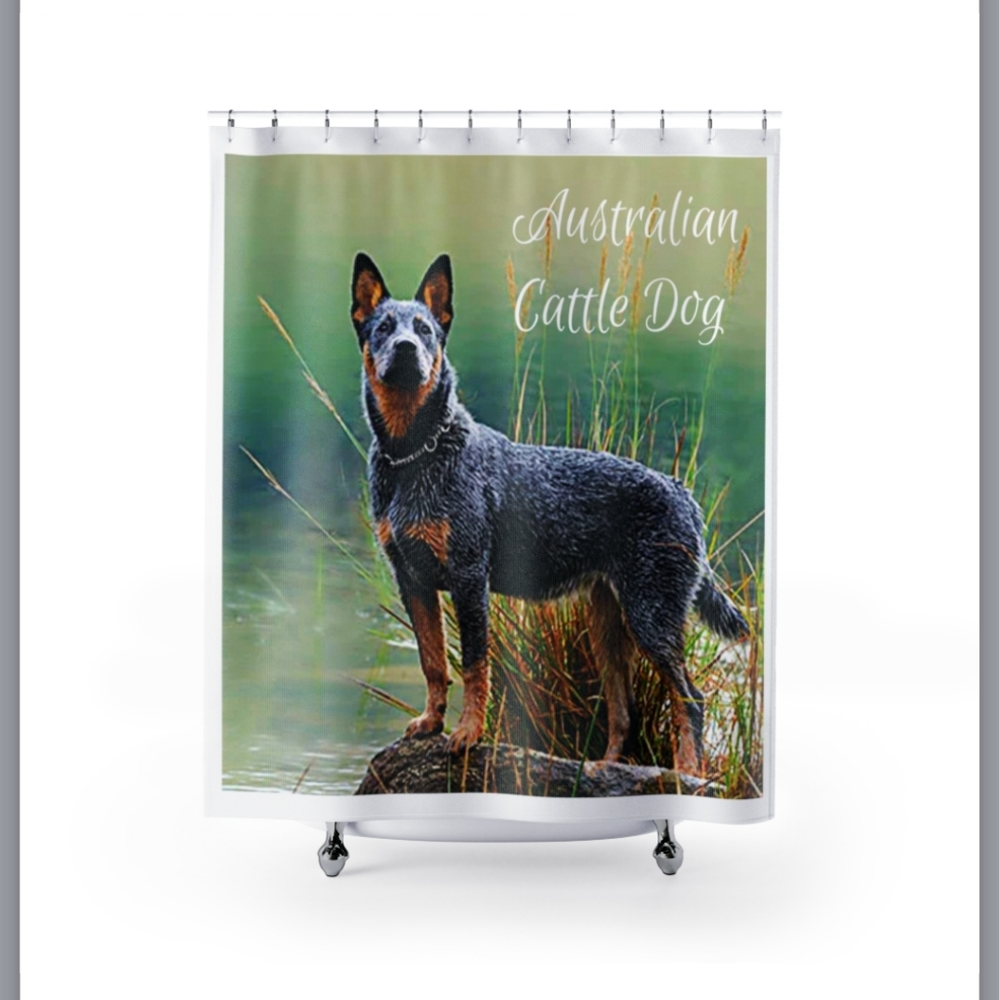 Australian Cattle Dog Shower curtains